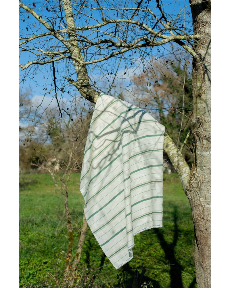 Rolling Stripes Mint TROLMIN